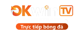 Okwin TV
